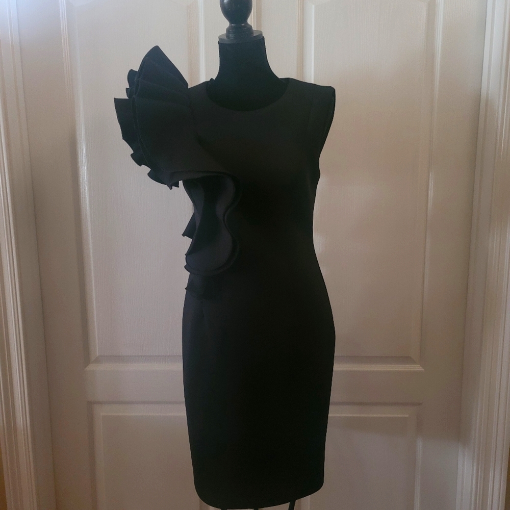 One shoulder ruffle sleeve dress